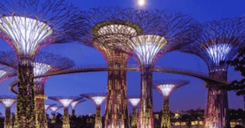 Gardens by the Bay -Things to do in Singapore